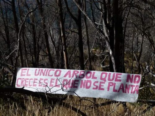Vivero niños del lago
