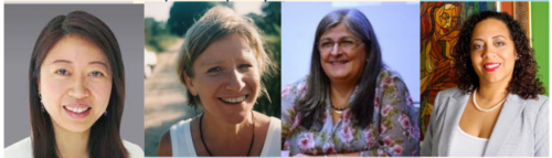 IARSLCE Virtual Gathering